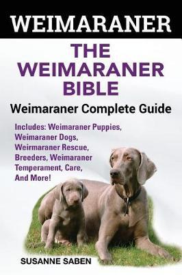 Weimaraner by Susanne Saben