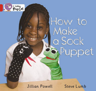How to Make a Sock Puppet by Jillian Powell image