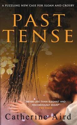 Past Tense by Catherine Aird image