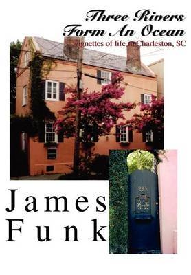 Three Rivers Form An Ocean by James Funk image