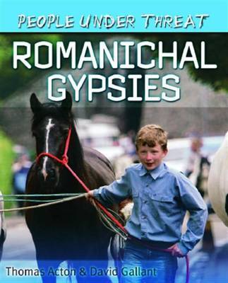 People Under Threat: Romanichal Gypsies by David Gallant image