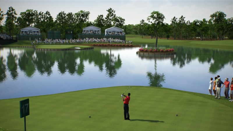 Tiger Woods PGA Tour 13 Collector's Edition for PS3 image