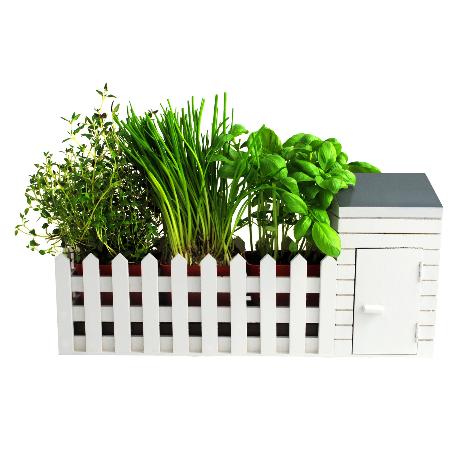 Indoor Allotment Gift Set image