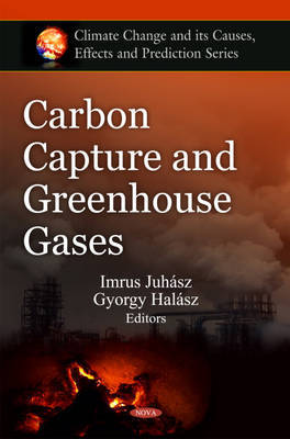 Carbon Capture & Greenhouse Gases image