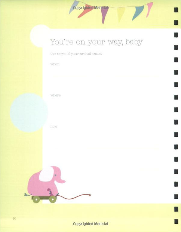 Baby's Record Book: Your First Five Years by Amy Nebens image