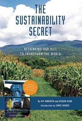 The Sustainability Secret by Keegan Kuhn image