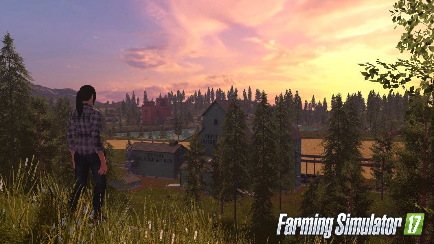 Farming Simulator 17 image