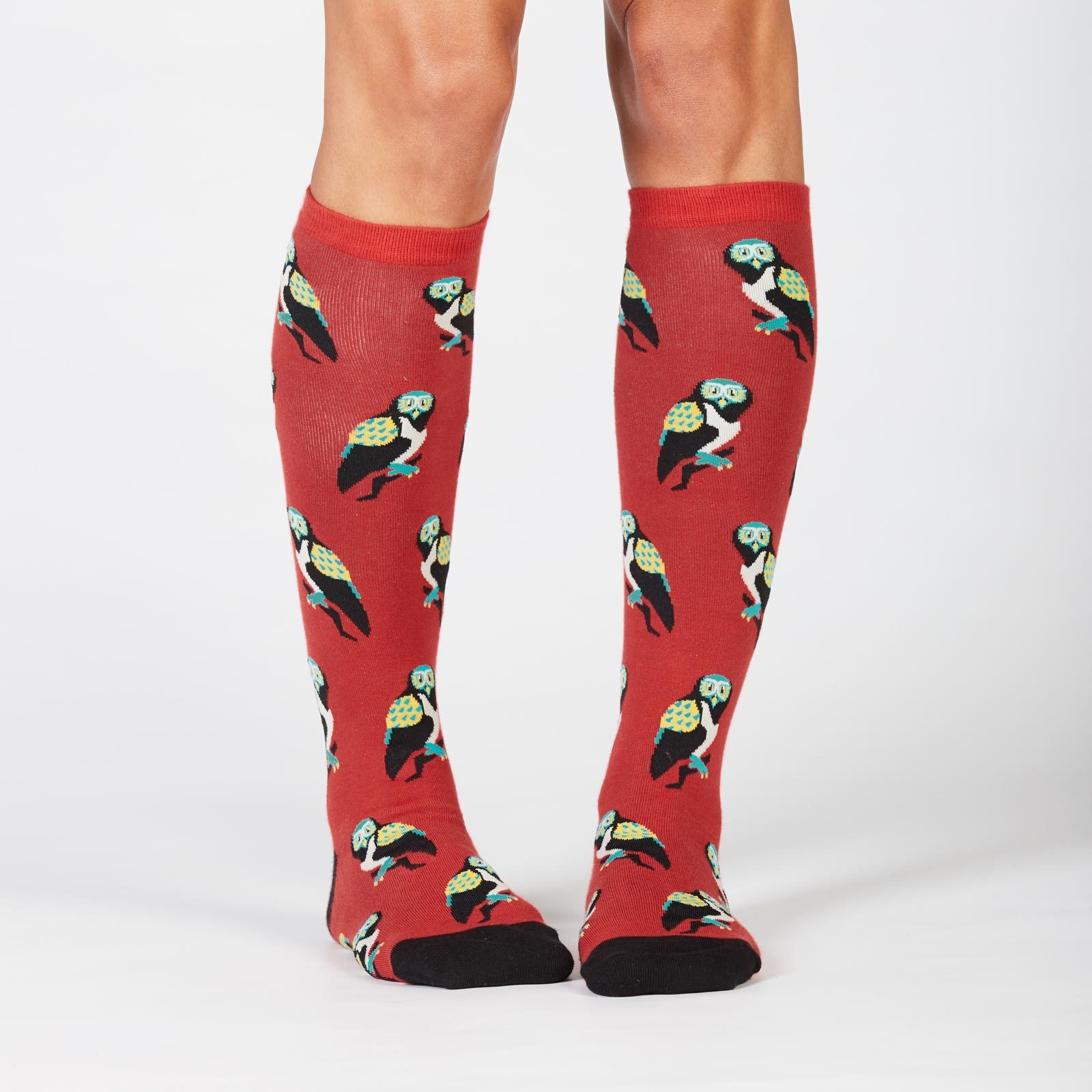 Women's - Birds Of Prey Knee High Socks image