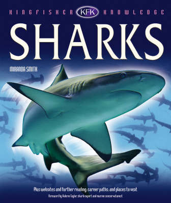 Sharks on Hardback by Miranda Smith