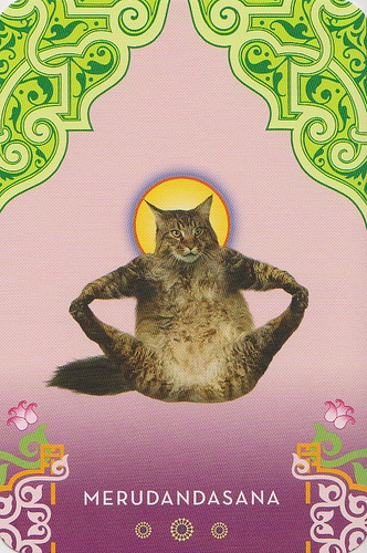 Cat Yoga Postcards (32 Postcards) by Rick Tillotson image