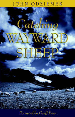 Catching Wayward Sheep by John Odziemek image