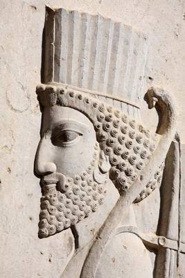 Bas-Relief of Persian Soldier from Persepolis Iran Journal by Cool Image image
