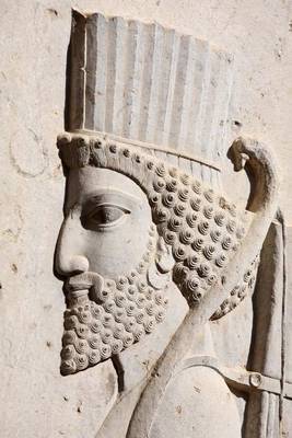 Bas-Relief of Persian Soldier from Persepolis Iran Journal image