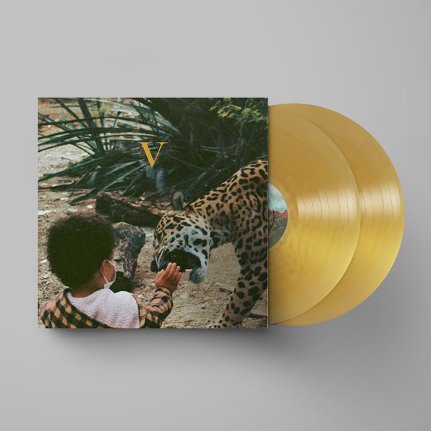 Cheap Vinyl Records at Mighty Ape Australia