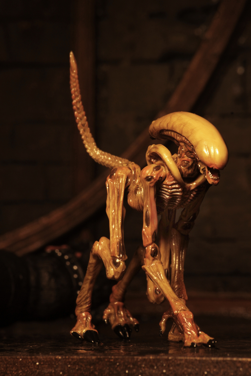 Alien 3: Creature Accessory Pack - (Scales with 7" Figures) image