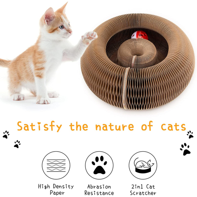 Buy Magic Interactive Organ Cat Scratching Board With Toy Bell Ball at ...
