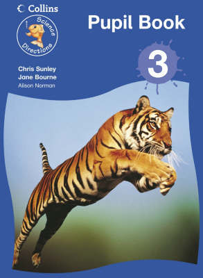 Year 3 Pupil Book by Chris Sunley image