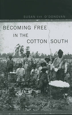 Becoming Free in the Cotton South by Susan Eva O'Donovan image