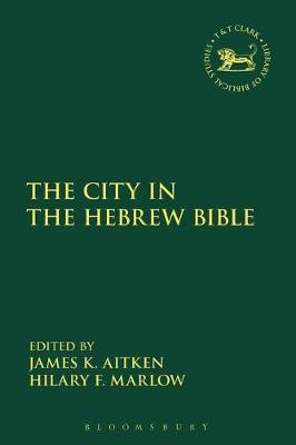 The City in the Hebrew Bible image