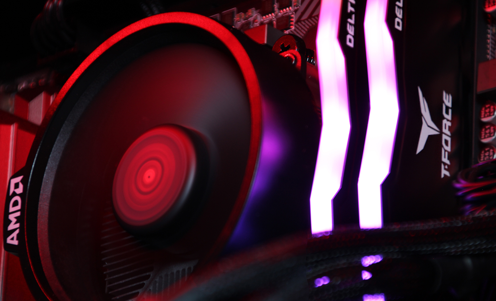 Spider Monkey - Elite image