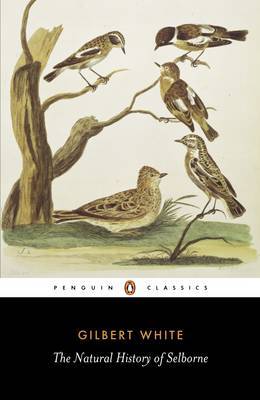 The Natural History of Selborne by Gilbert White image