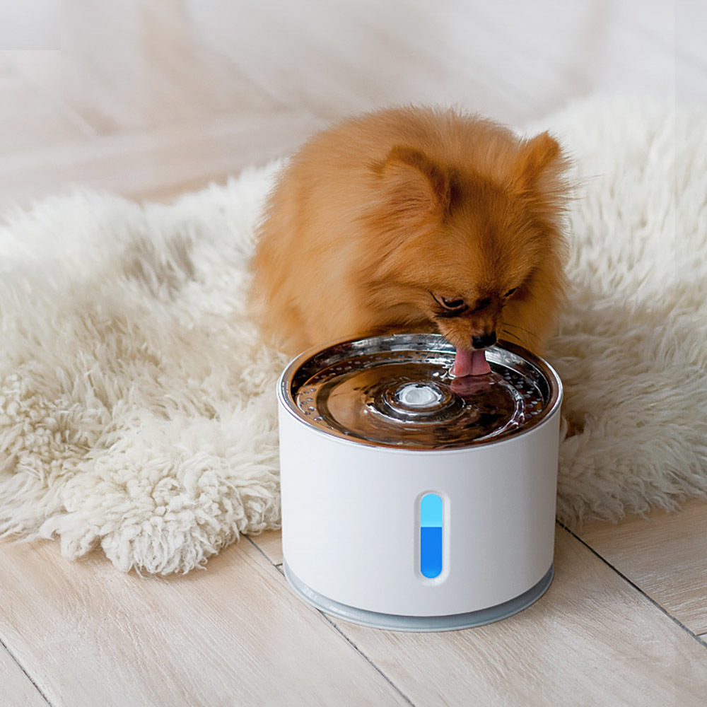 Ape Basics: Pet Electric Water Dispenser