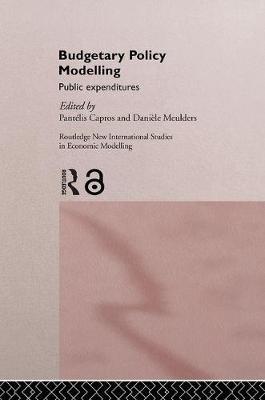 Budgetary Policy Modelling image
