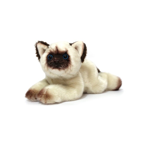 Cat: Oscar Himalayan Cat 25Cm image