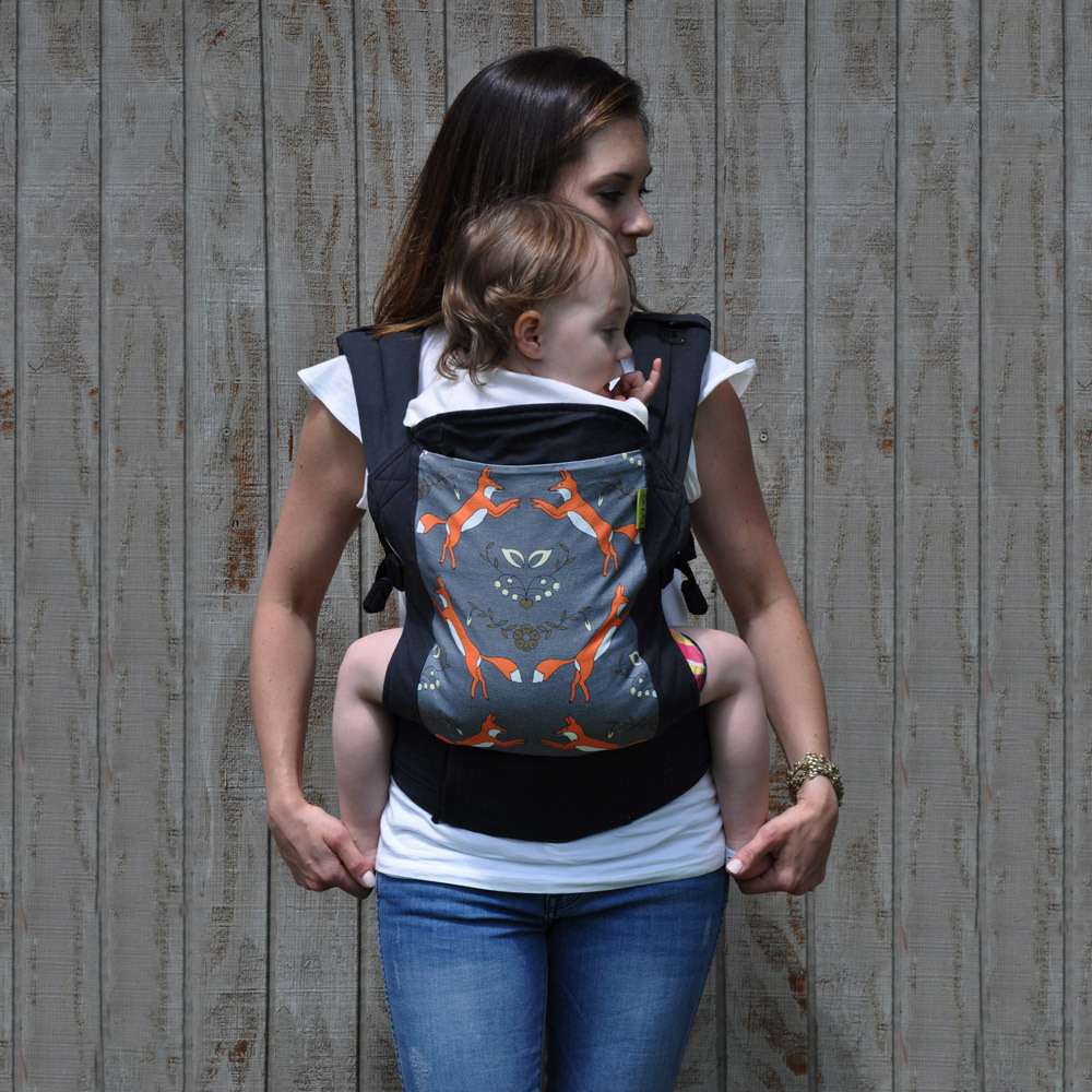 Boba: 4GS Carrier - Foxen image