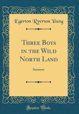 Three Boys in the Wild North Land by Egerton Ryerson Young image