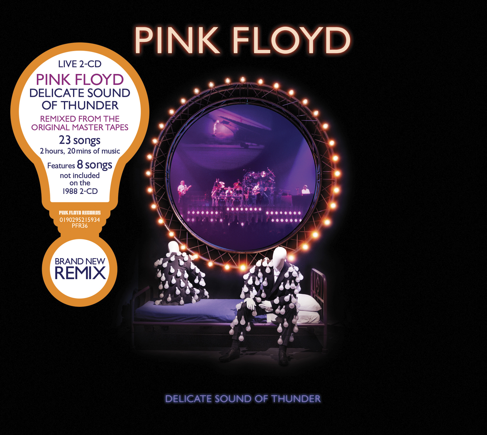 Delicate Sound Of Thunder on CD by Pink Floyd