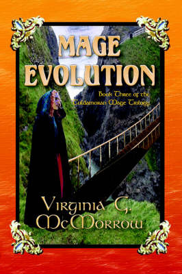 Mage Evolution by Virginia G McMorrow image