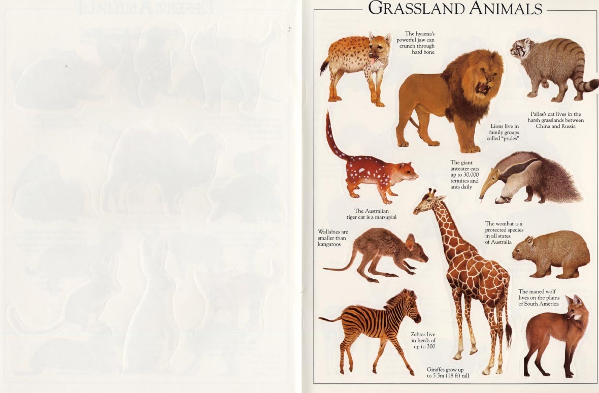 Animals Ultimate Sticker Book image