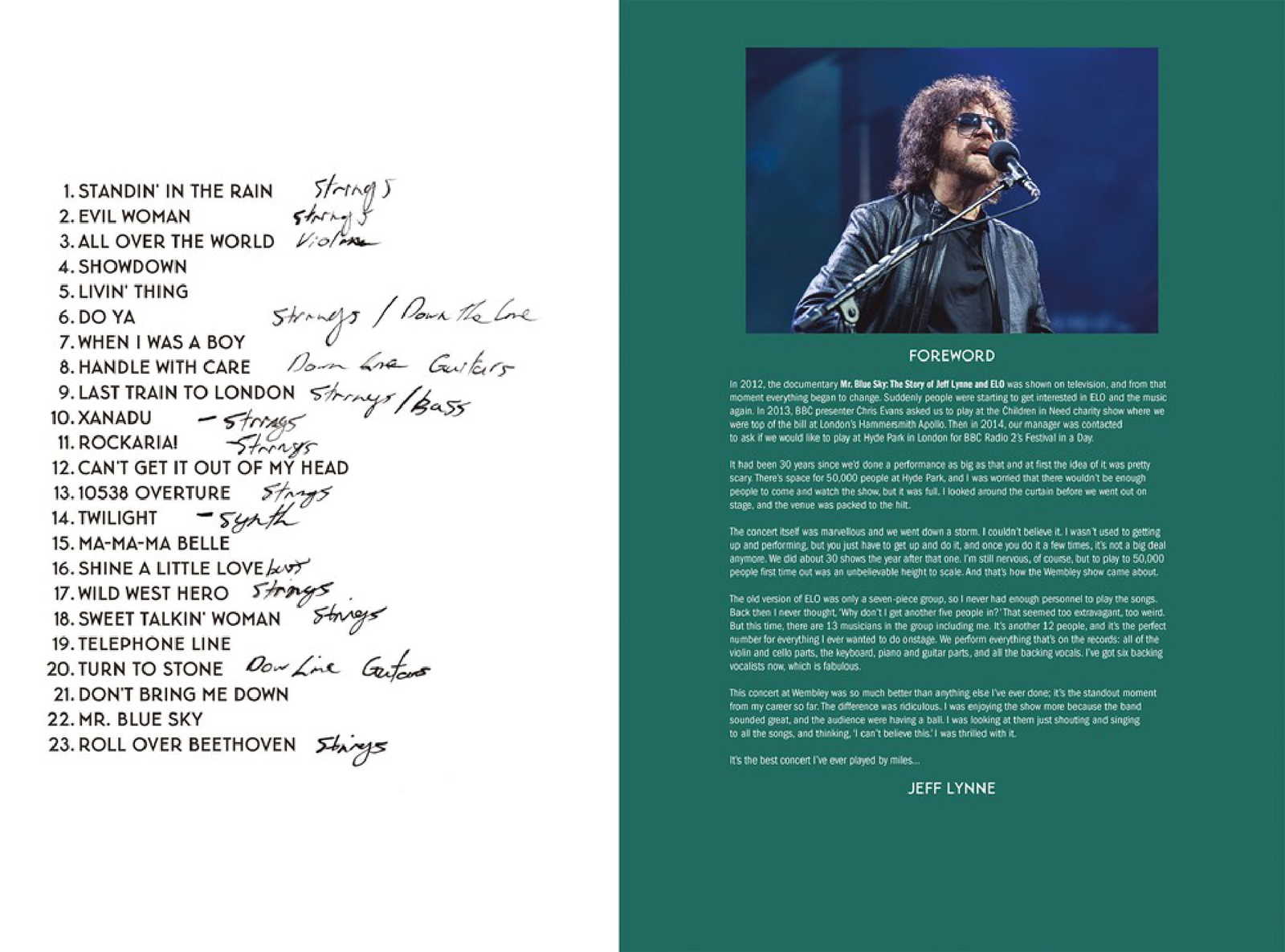 Wembley or Bust by Jeff Lynne image