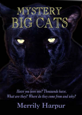 Mystery Big Cats by Merrily Harpur image