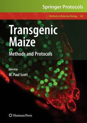 Transgenic Maize image