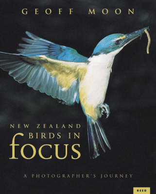 New Zealand Birds in Focus: A Photographer's Journey by Geoff Moon image