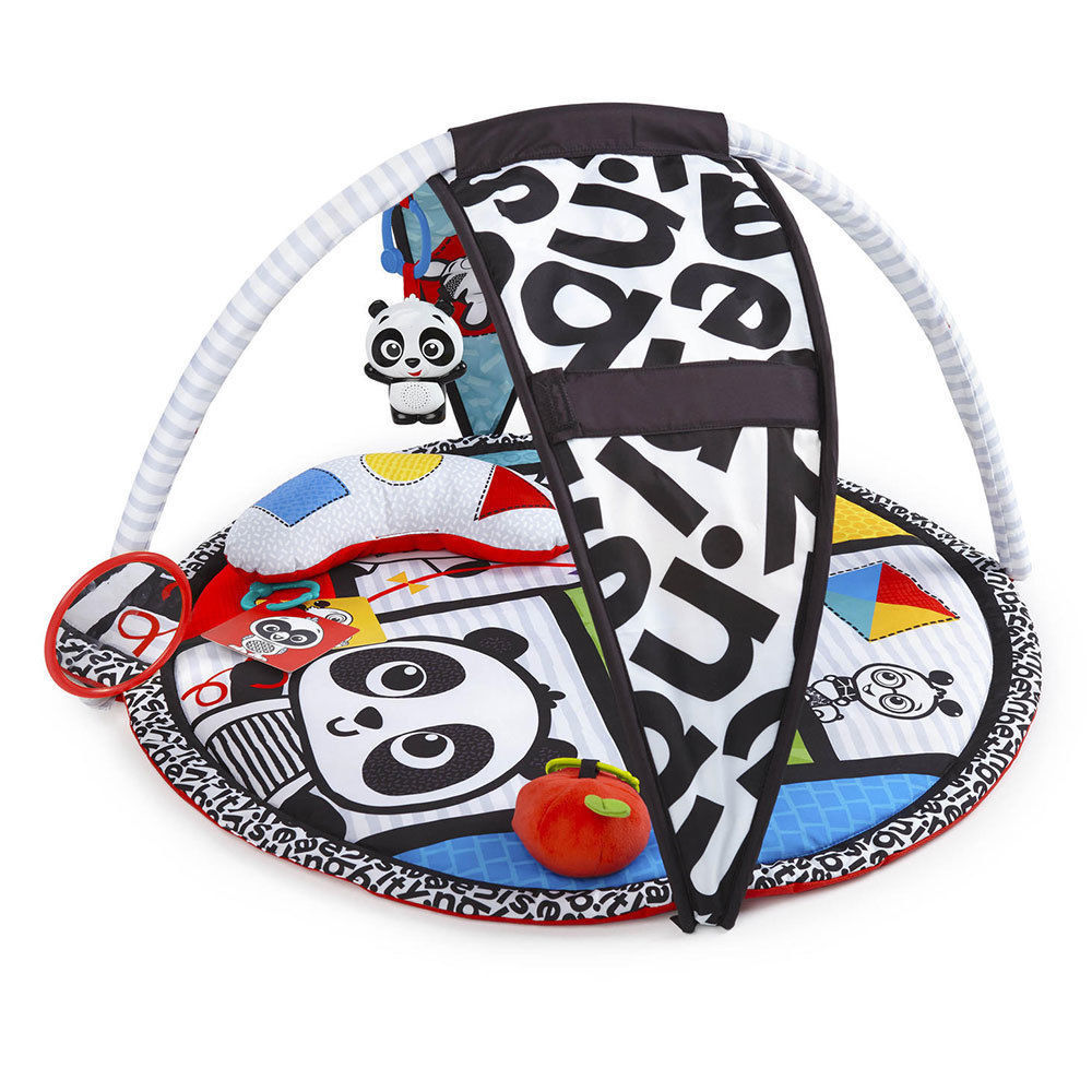 Baby Einstein: Bold New World - 2-In-1 Play Gym image
