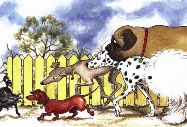 Hairy Maclary's Bone: Book + CD by Lynley Dodd image