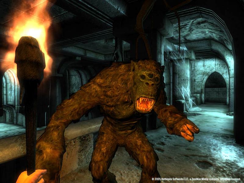 The Elder Scrolls IV: Oblivion Game of the Year Edition for PC Games image