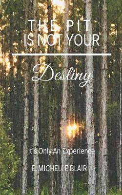 The Pit Is Not Your Destiny by E Michelle Blair image
