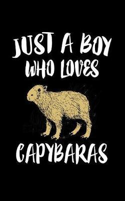 Just A Boy Who Loves Capybaras by Marko Marcus image