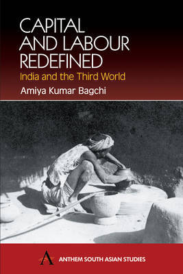 Capital and Labour Redefined by Amiya Kumar Bagchi image