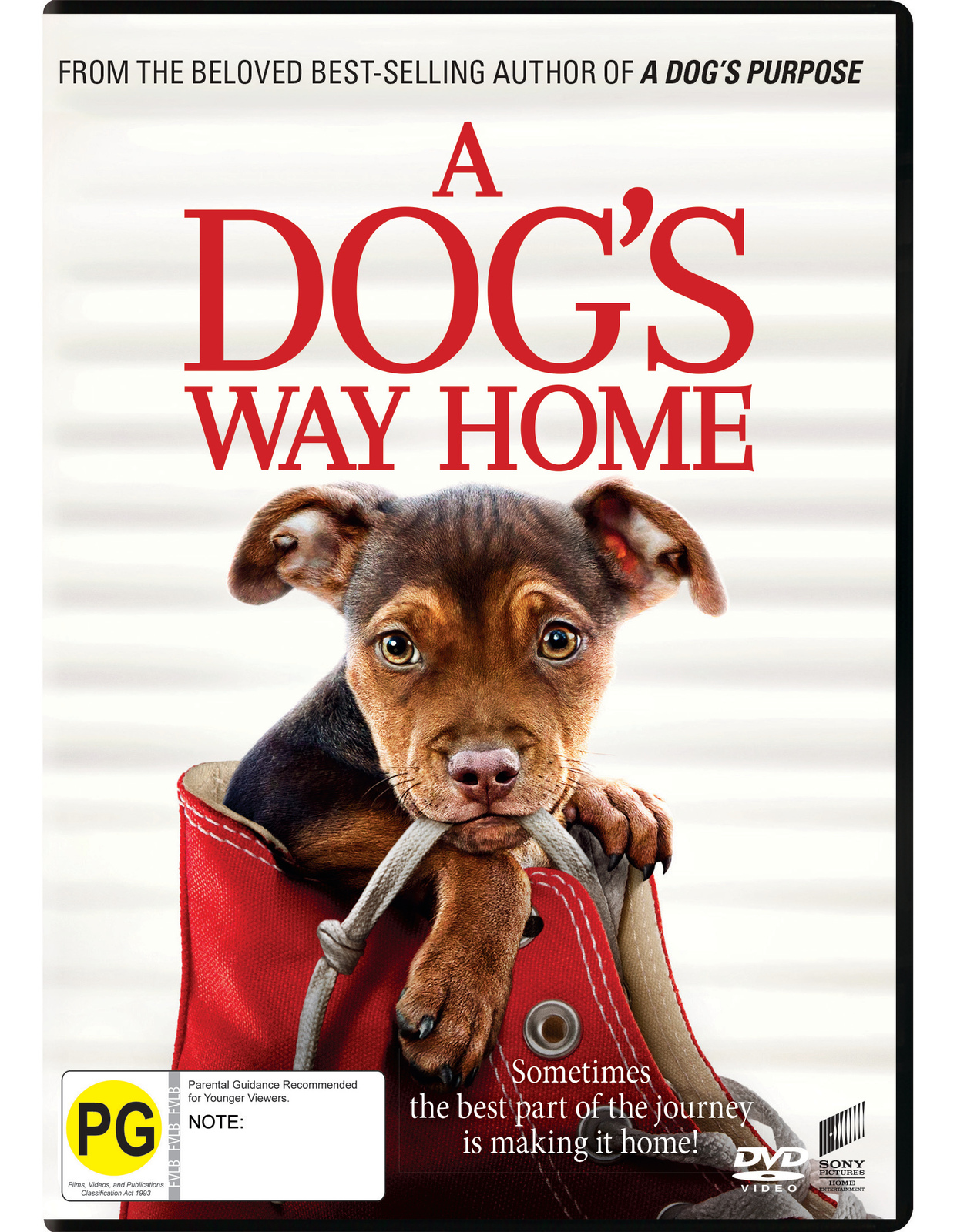 A Dog's Way Home on DVD image