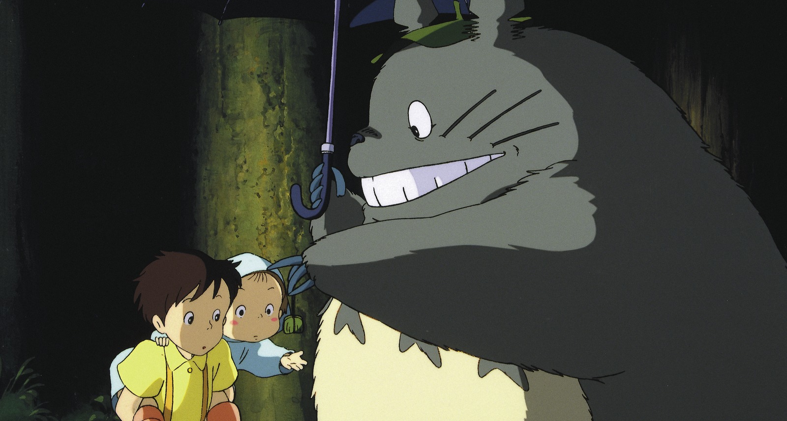 My Neighbor Totoro on DVD image