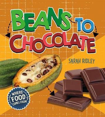 Beans to Chocolate by Sarah Ridley image