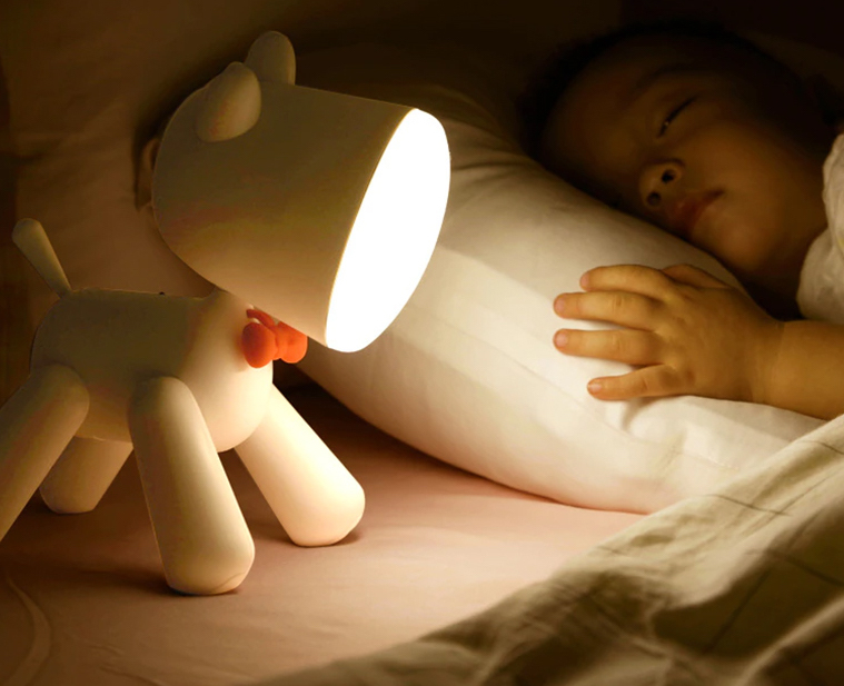 Does A Puppy Need A Light On At Night