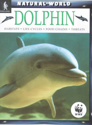 Dolphins by Nic Davies image