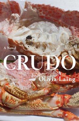 Crudo by Olivia Laing image