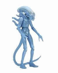 Aliens: Warrior Alien (Kenner) - 9" Action Figure